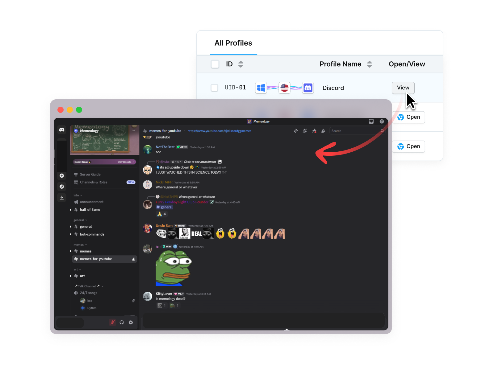 使用RoxyBrowser解除Discord封锁.png