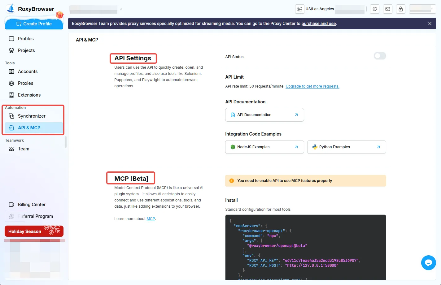 API & MCP.webp