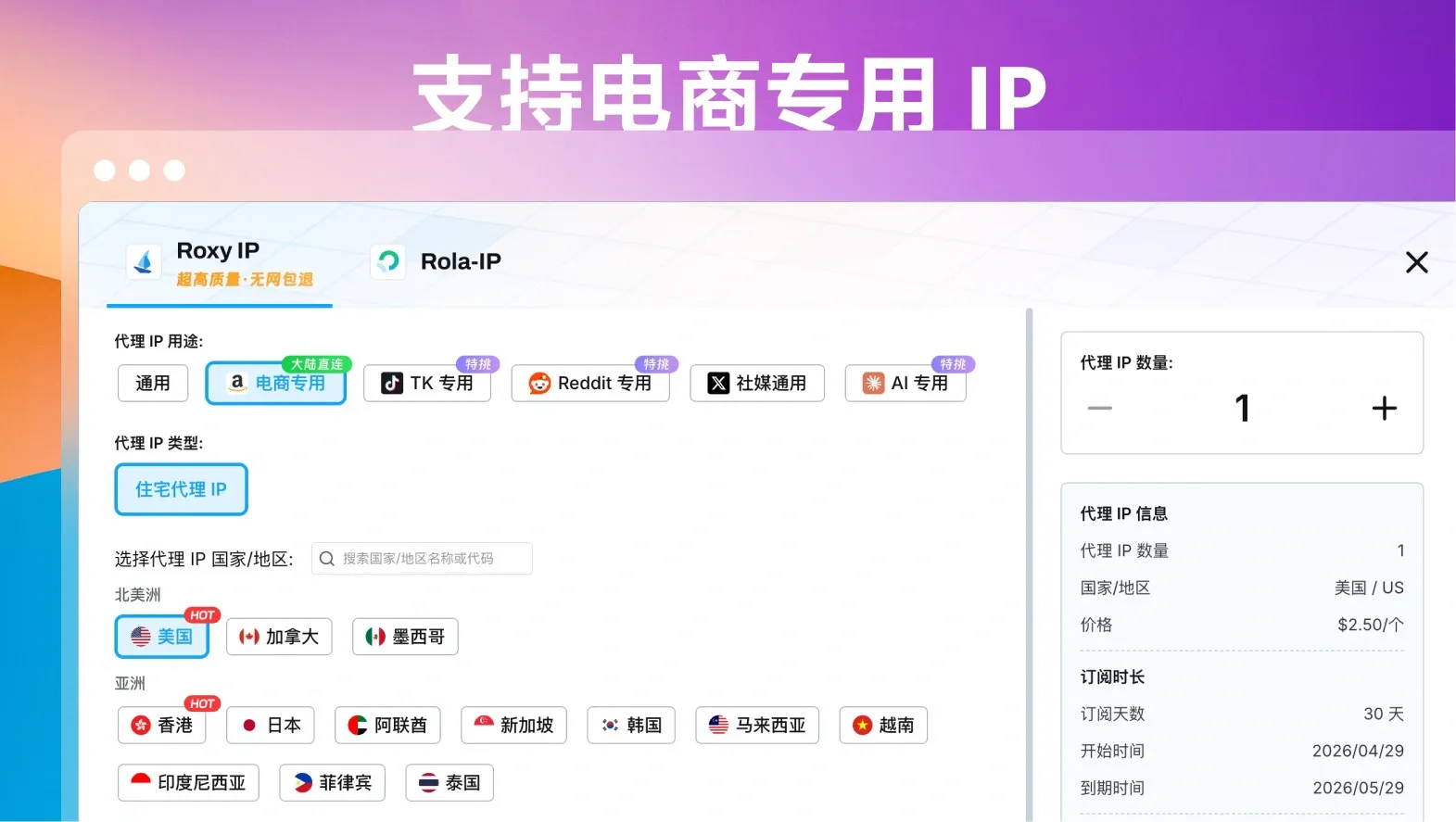 roxy ip.webp