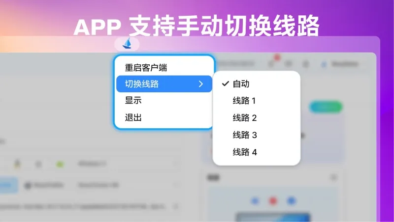 Roxy浏览器APP支持手动切换线路