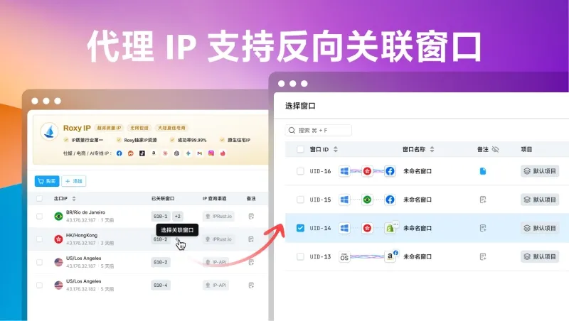 代理 IP 支持反向关联窗口